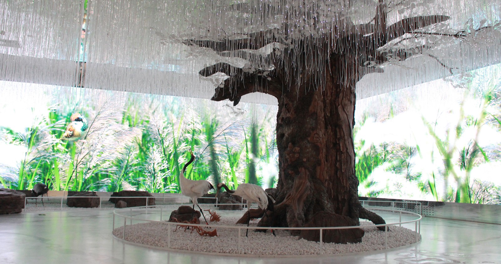 1531804626199618AU2A.jpg IMG_1151.JPG